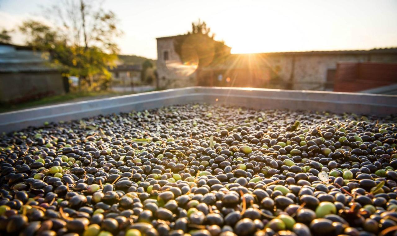 Agriturismo Grossola Castiglione d'Orcia Bagian luar foto