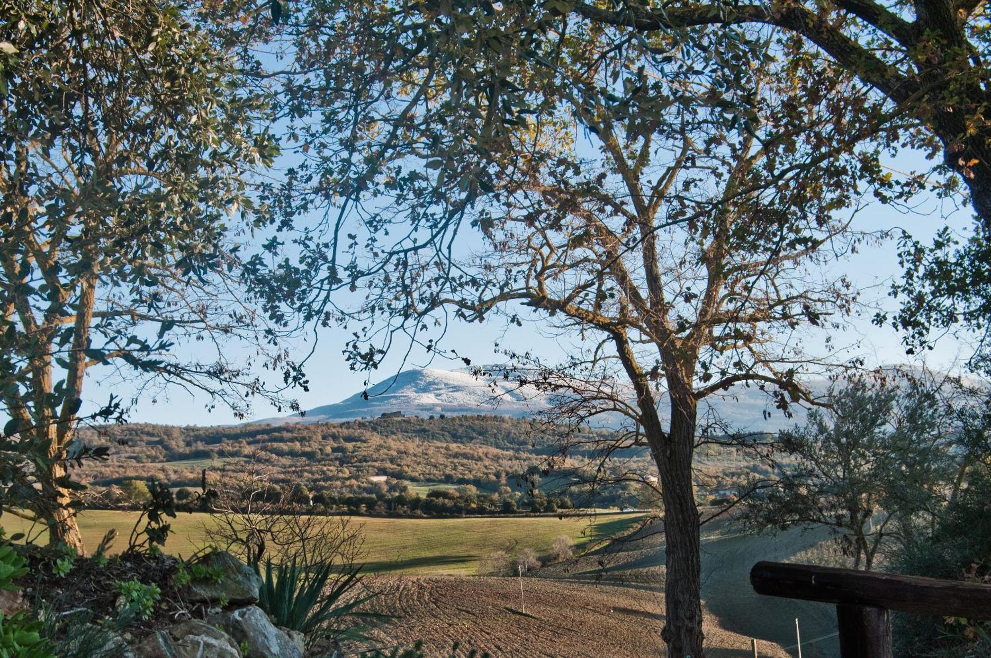 Agriturismo Grossola Castiglione d'Orcia Bagian luar foto