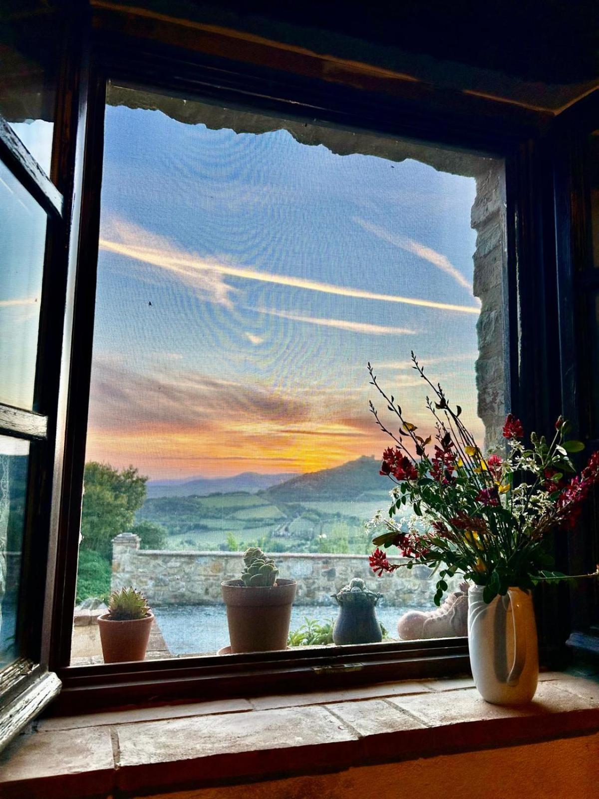 Agriturismo Grossola Castiglione d'Orcia Bagian luar foto