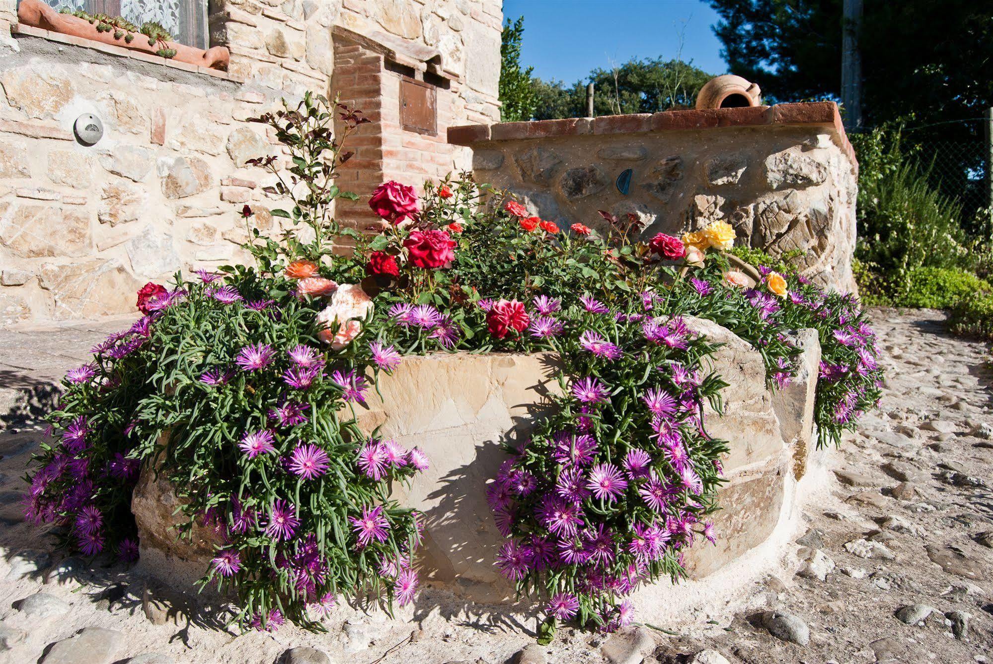 Agriturismo Grossola Castiglione d'Orcia Bagian luar foto