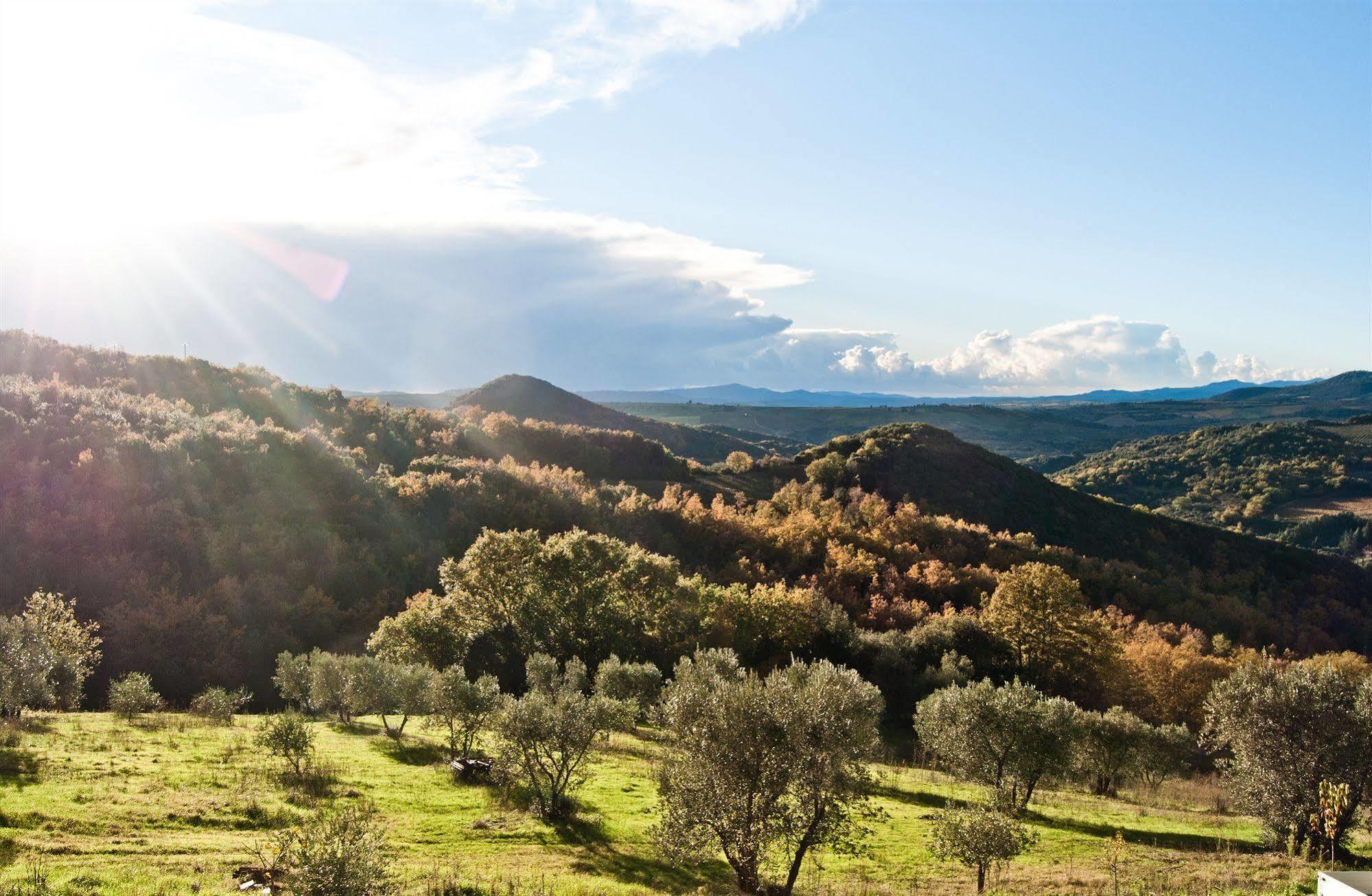Agriturismo Grossola Castiglione d'Orcia Bagian luar foto